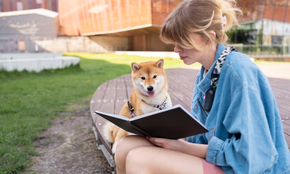 doge checks