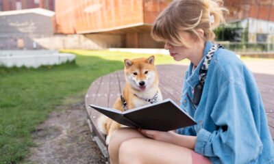 doge checks