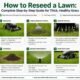 how to reseed a lawn