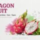 dragon fruit