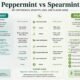 peppermint vs spearmint